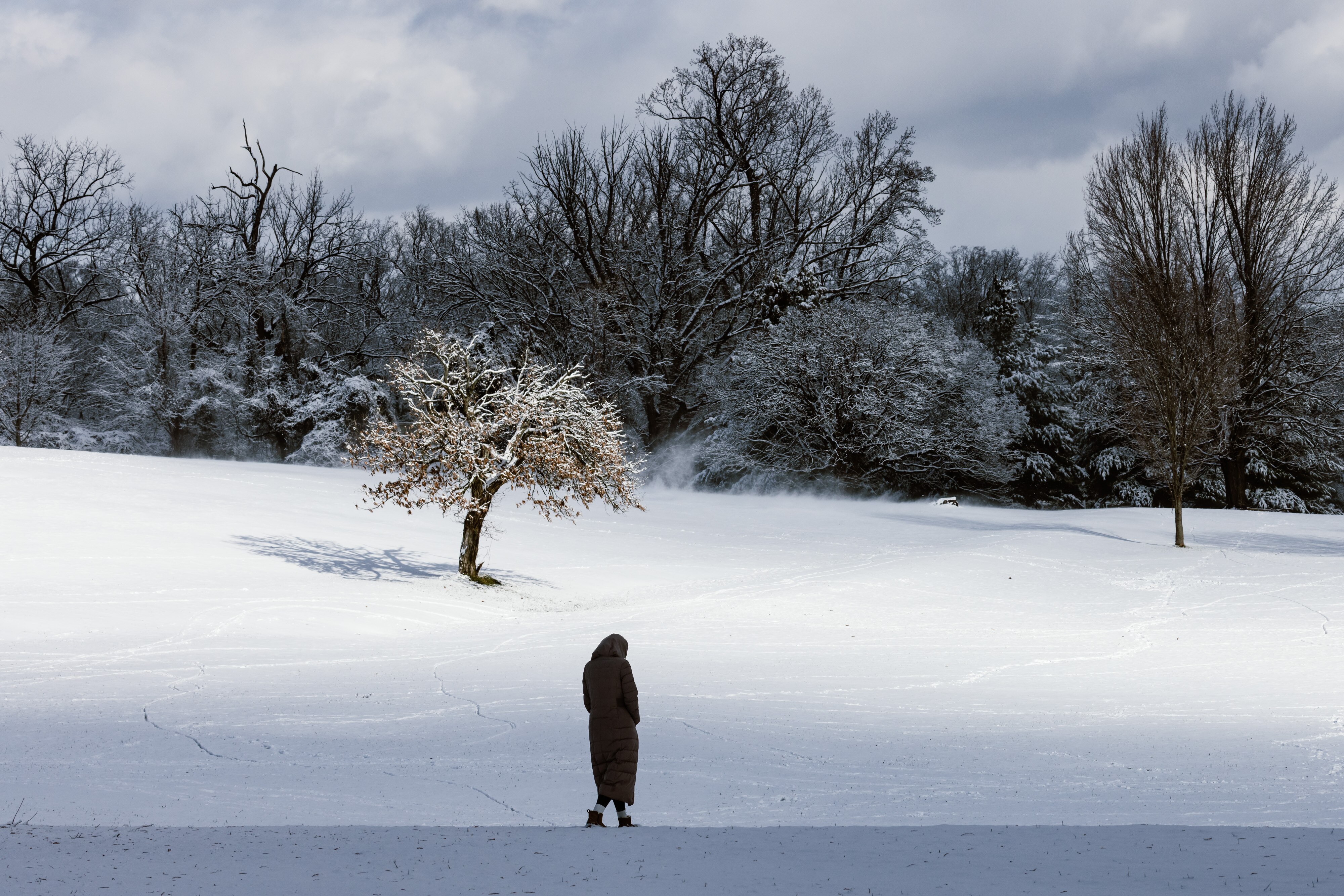A person walks through the snow at Druid Hill Park after a few inches fell overnight in Baltimore on Sunday.