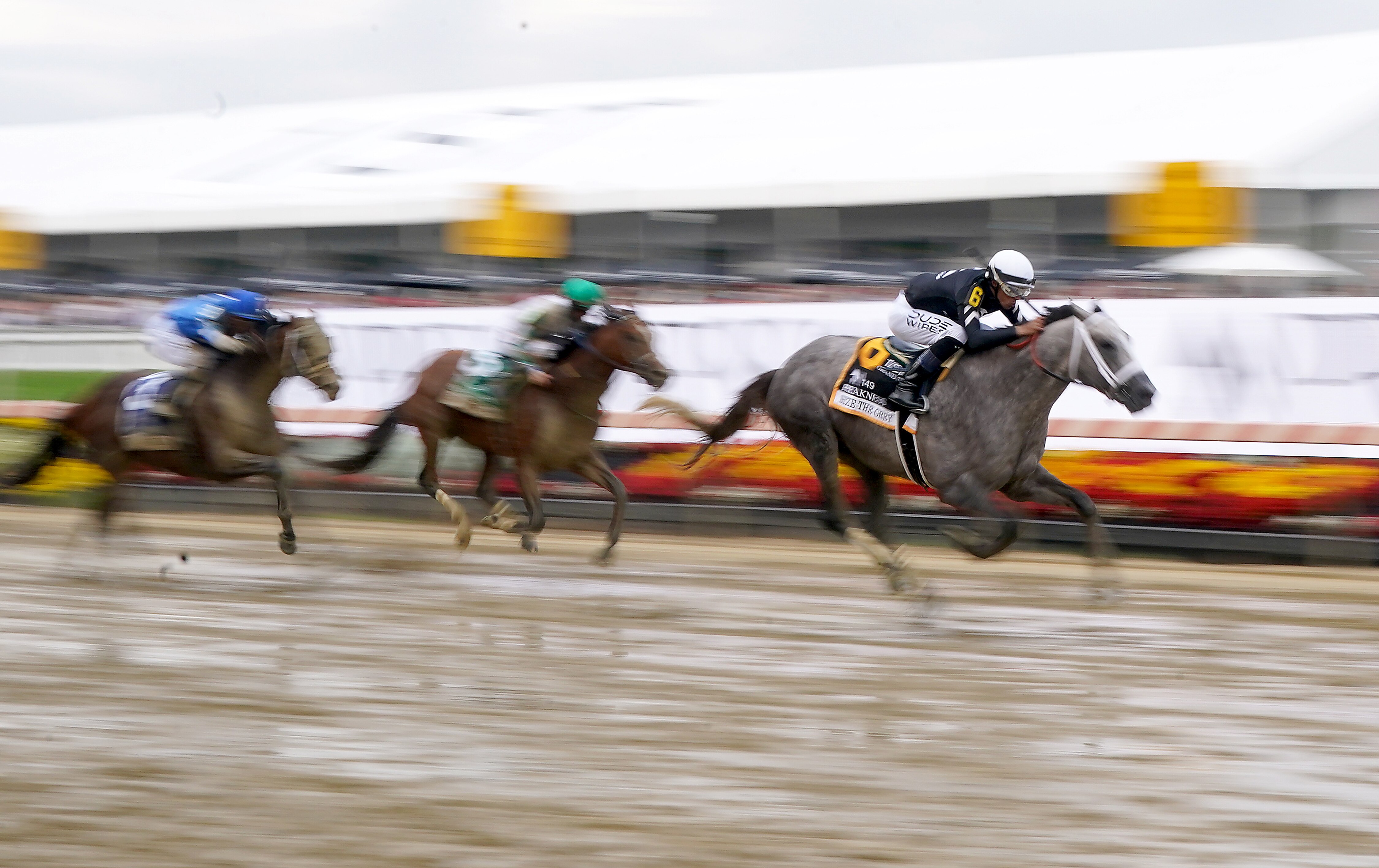 Seize The Grey led the pack in the 149th running of The Preakness Stakes.