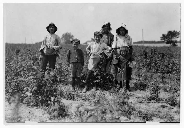 Lewis Wickes Hine, Slebzak family (Polish) working on Bottomley farm, near Baltimore, Maryland, 1909. Gelatin silver print, 5 x 7 in. The Photography Collections, University of Maryland, Baltimore County (UMBC), P837
