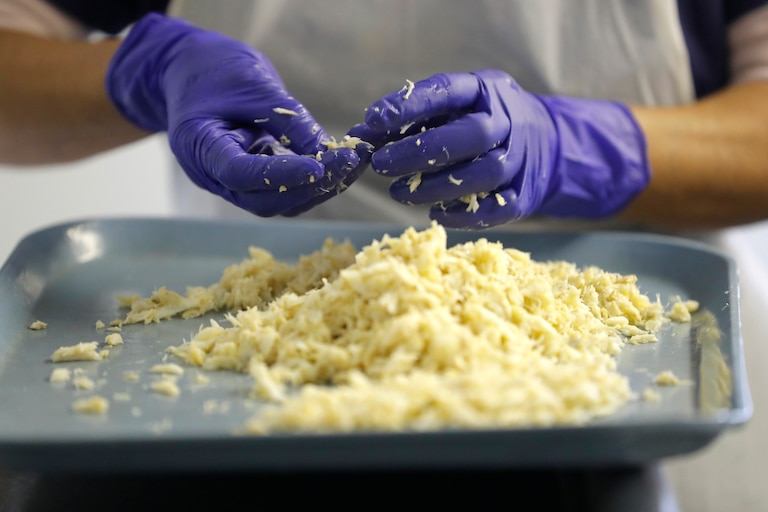 A guest migrant worker from Hidalgo, Mexico makes sure crab meat is clean before packaging it, Thursday, May 14, 2020, in Fishing Creek, Md. Hundreds of Mexican and Central American guest workers are in the U.S. working in the fields, picking crabs or mowing lawns, among many other jobs. This year, they are doing it in the midst of a pandemic, and while some work with masks and gloves, others say they are put in buses constantly and are given no guidance on how to protect themselves.