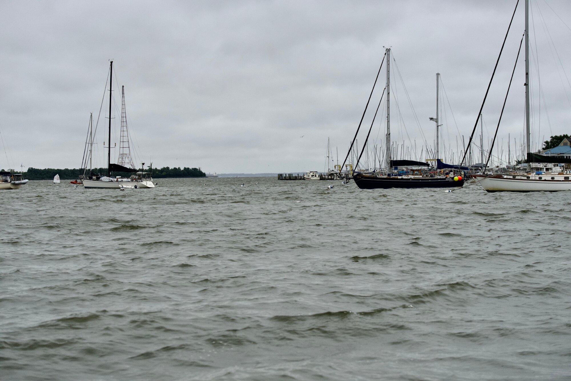 Annapolis prepares for Tropical Storm Ophelia moving through Maryland on Saturday. (Kaitlin Newman/The Baltimore Banner)