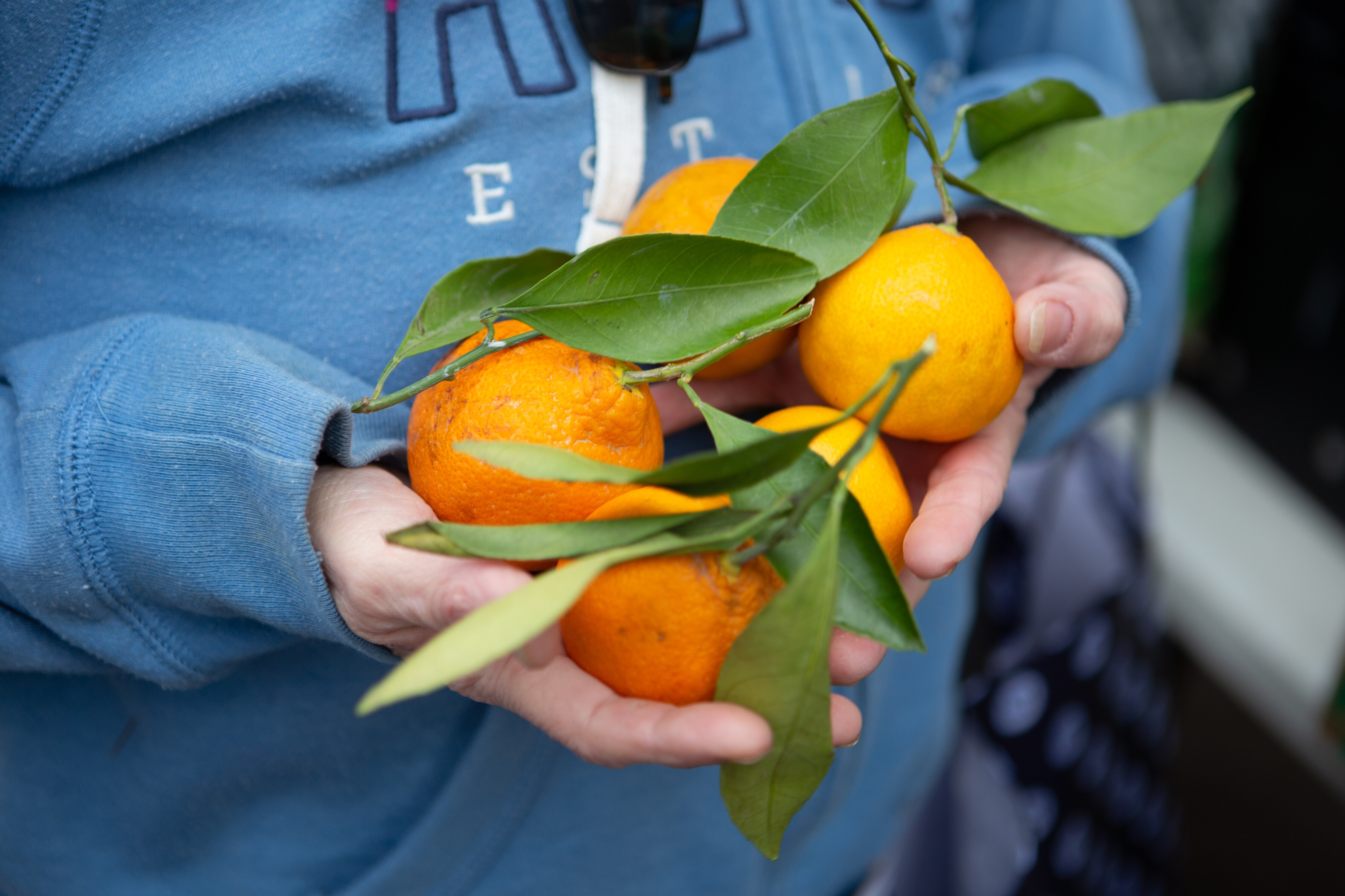 Karen Taylor, a resident of Union Square in South Baltimore, attends a food giveaway outside of Old Major bar in Pigtown on Thursday, Jan. 5, 2023.