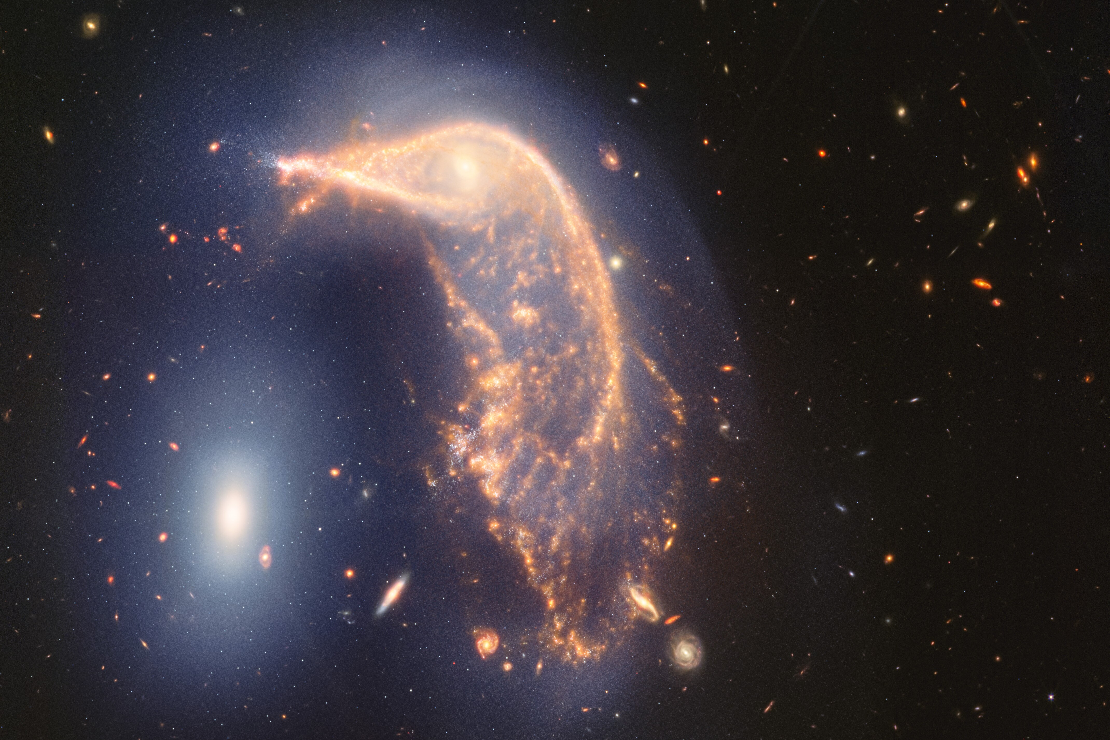 The James Webb Space Telescope observed the “Penguin,” a faraway galaxy. The telescope is operated by the Space Science Telescope Institute, based on the Johns Hopkins University campus.