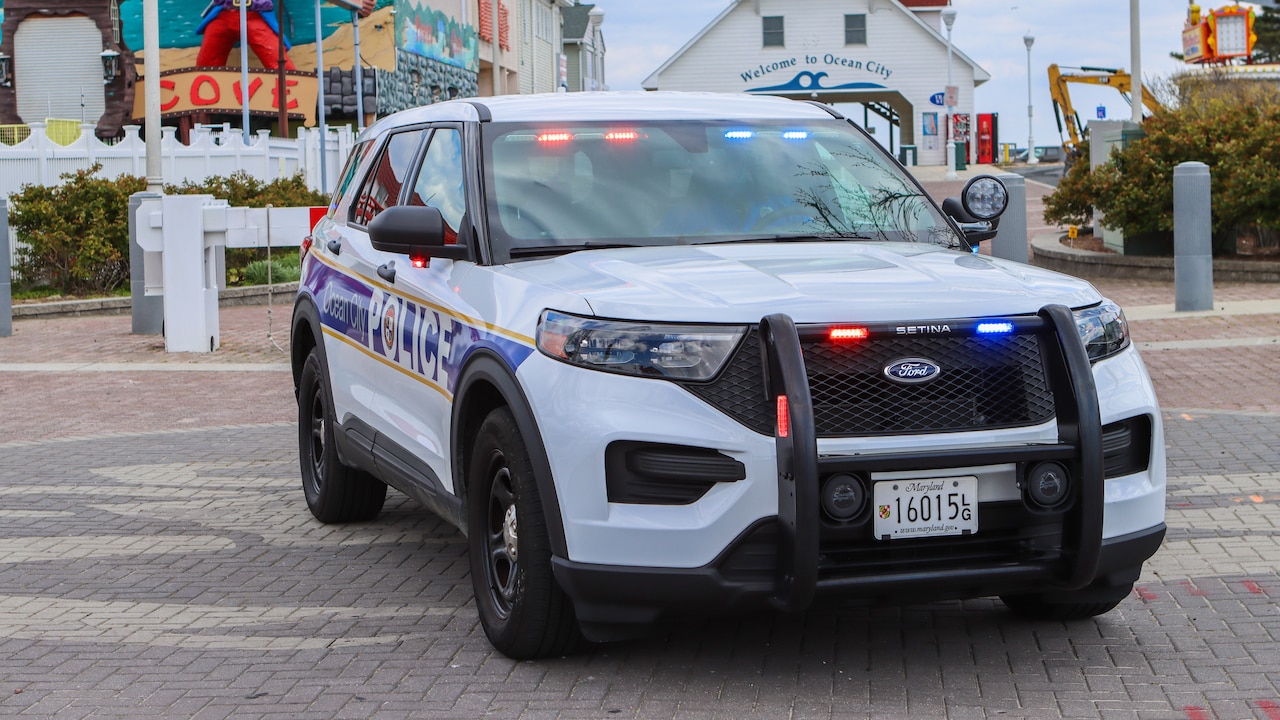 Pasadena man arrested after causing Ocean City Police horse to run into tree