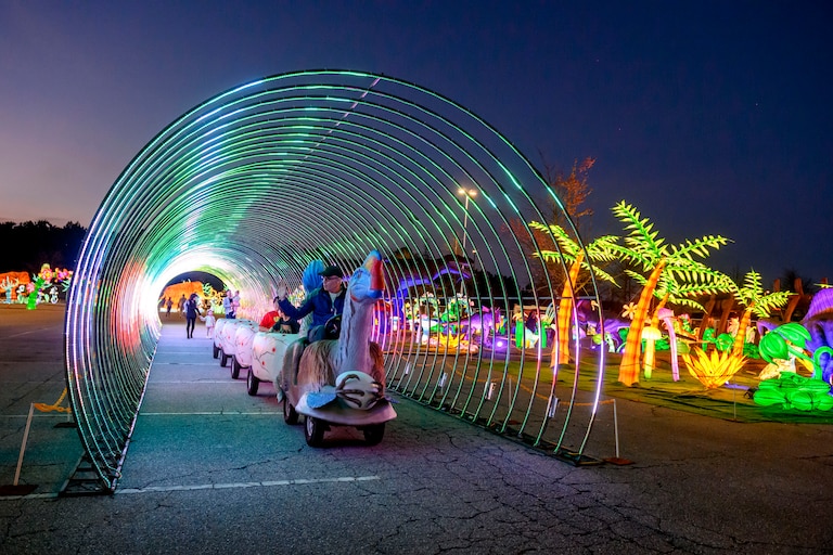The LuminoCity Festival at the Montgomery County Fairgrounds.