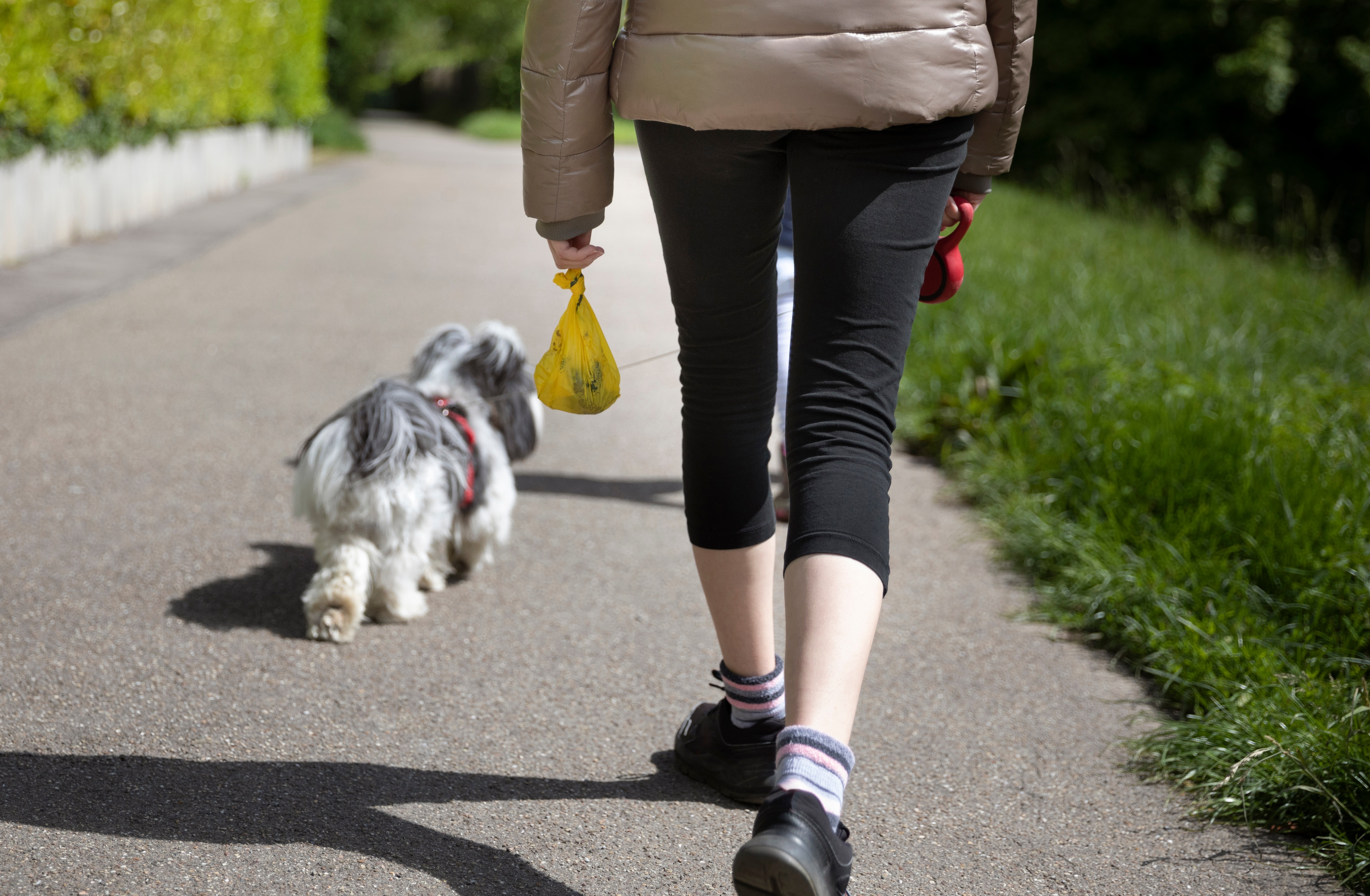 Someone who found an extra bag in his garbage can has a message for whoever left that bag of pooch poo: Find a better place to get rid of those.