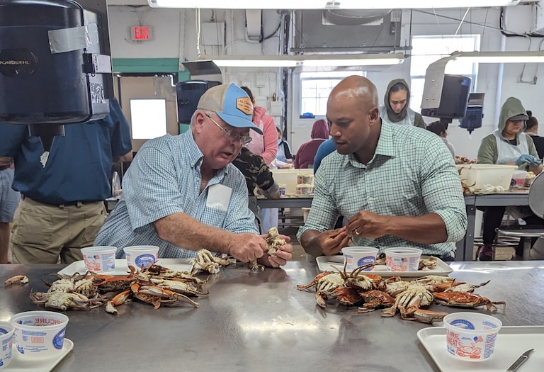 Jack Brooks, whose great-grandfather founded the JM Clayton crab processing plant in Cambridge, shows Gov. Wes Moore how to pick a crab during a 2023 tour.