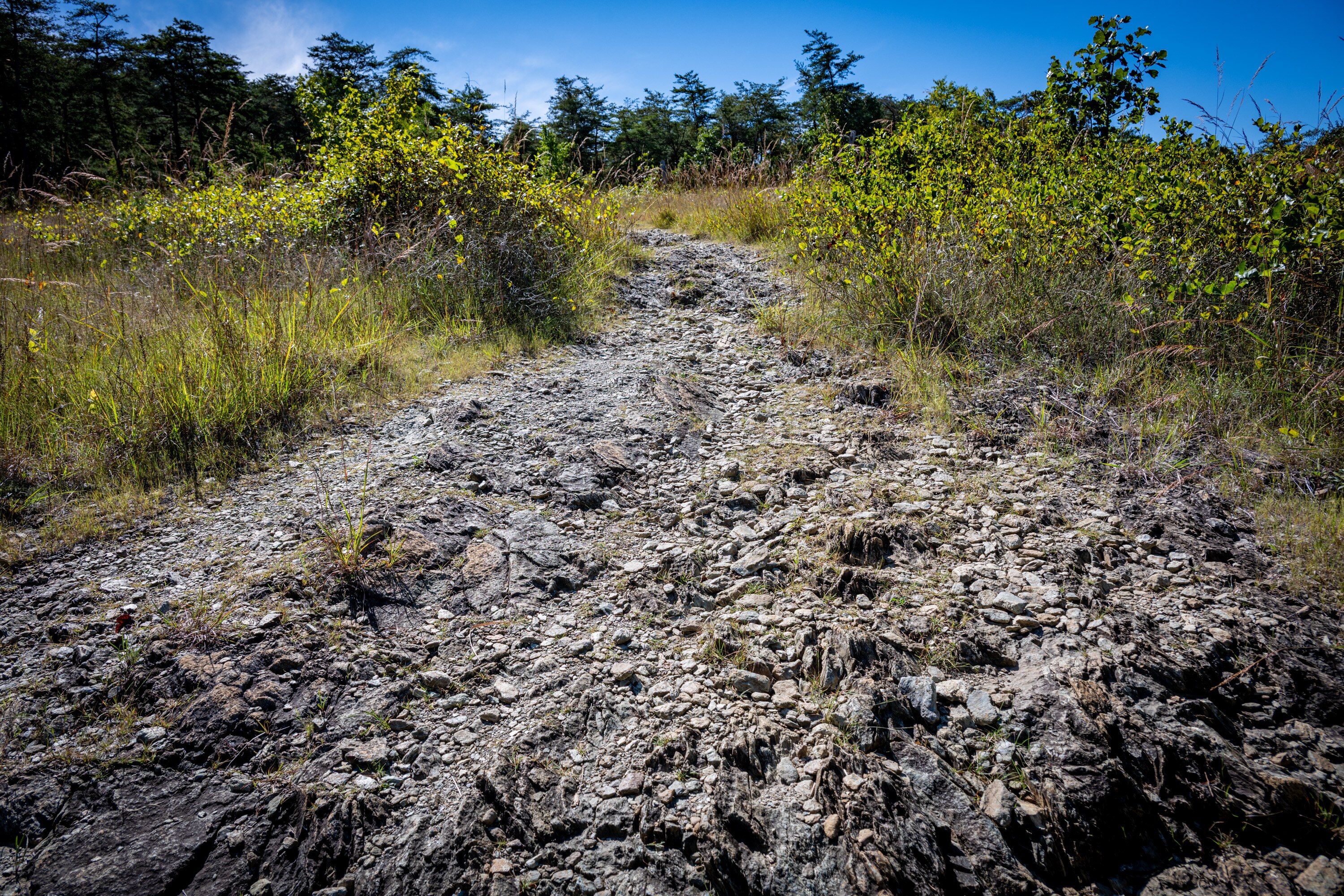 A portion of the Serpentine Trail at Soldiers Delight Natural Environment Area in Owings Mills. 