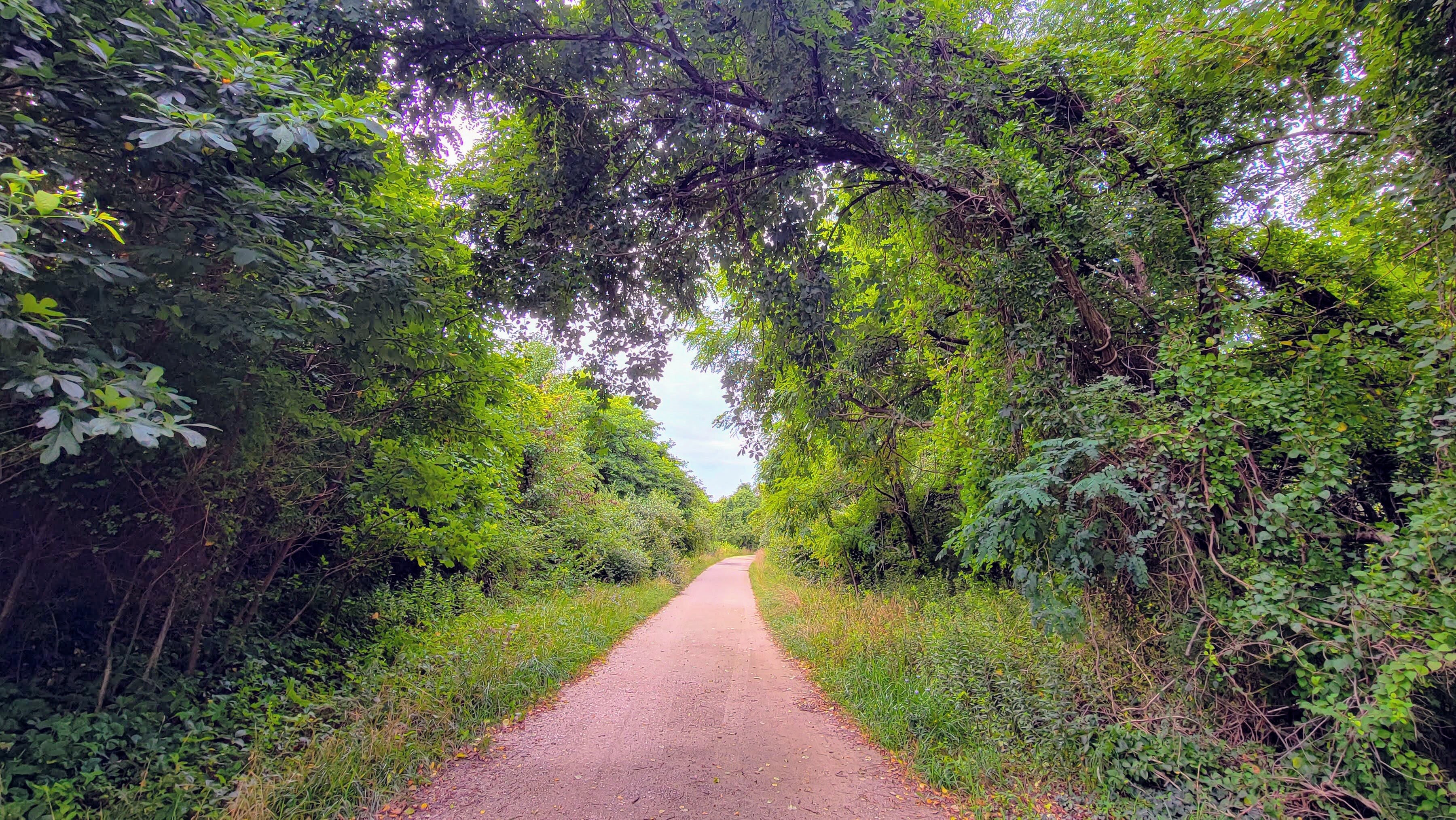 Parts of the Greenbury Point environmental conservation area is open to the public when the Navy is not using the site for training.
