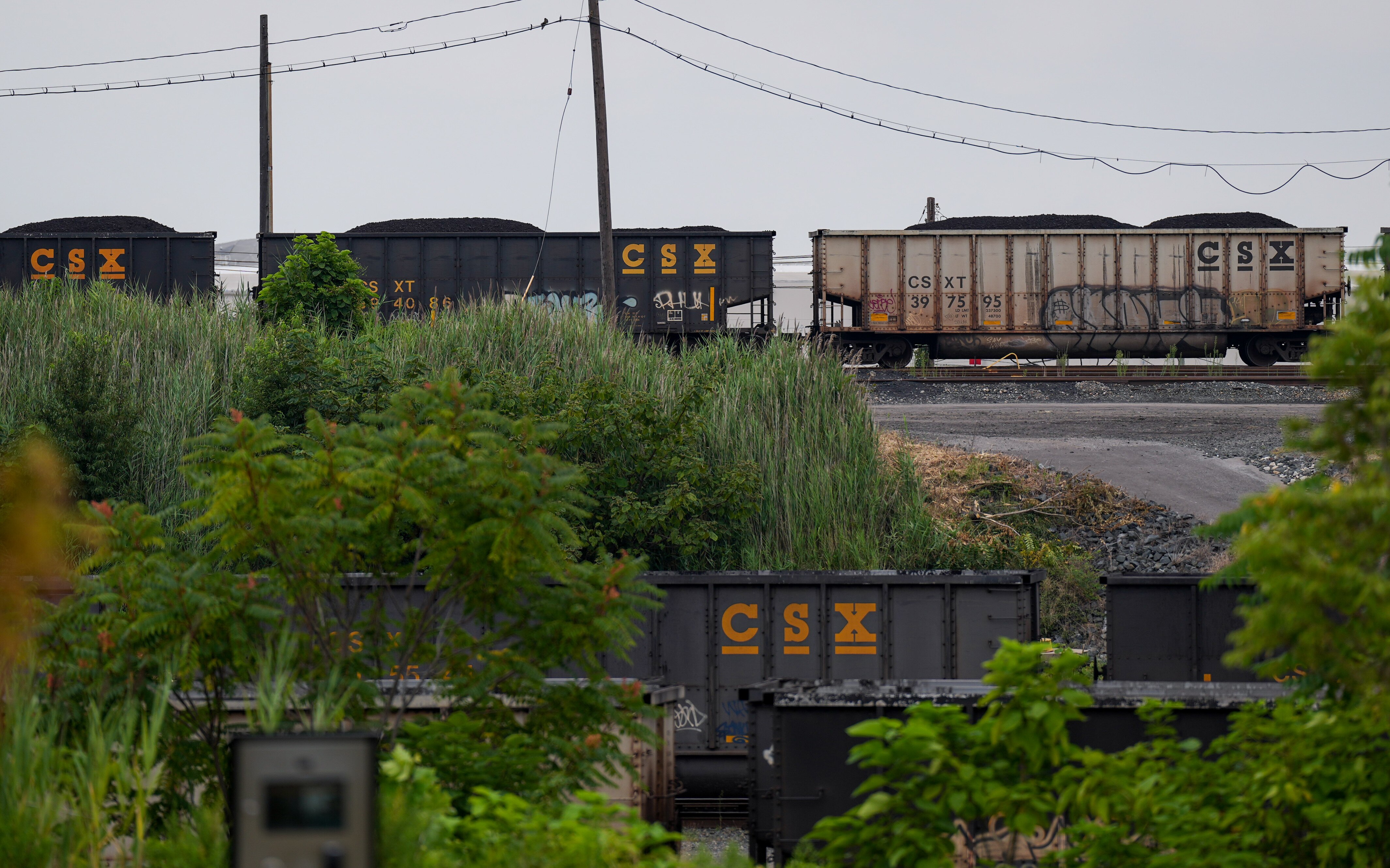 Piles of coal can be seen in train cars just outside of the CSX Facility in Curtis Bay on Aug. 4, 2023.