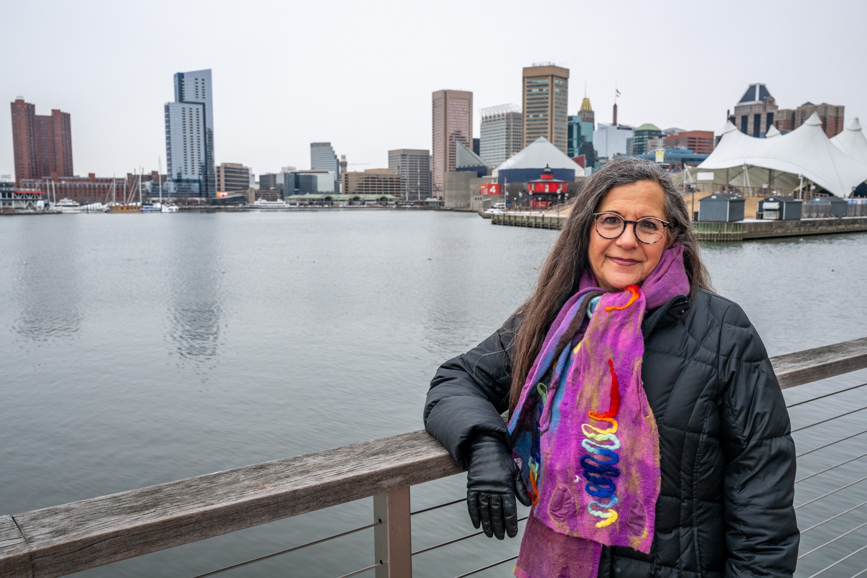 Laurie Schwartz will retire this June after leading the Waterfront Partnership of Baltimore for 20 years.