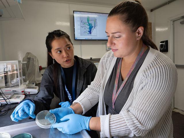 Ava Ellett (right) of the National Oceanic and Atmospheric Administration and research assistant Rose Adelizzi examine vibrio bacteria at the Cooperative Oxford Laboratory in Maryland.