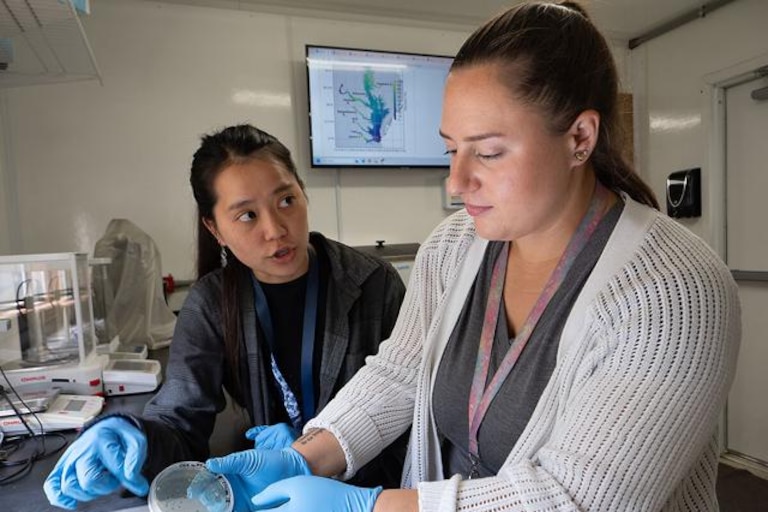 Ava Ellett (right) of the National Oceanic and Atmospheric Administration and research assistant Rose Adelizzi examine vibrio bacteria at the Cooperative Oxford Laboratory in Maryland.