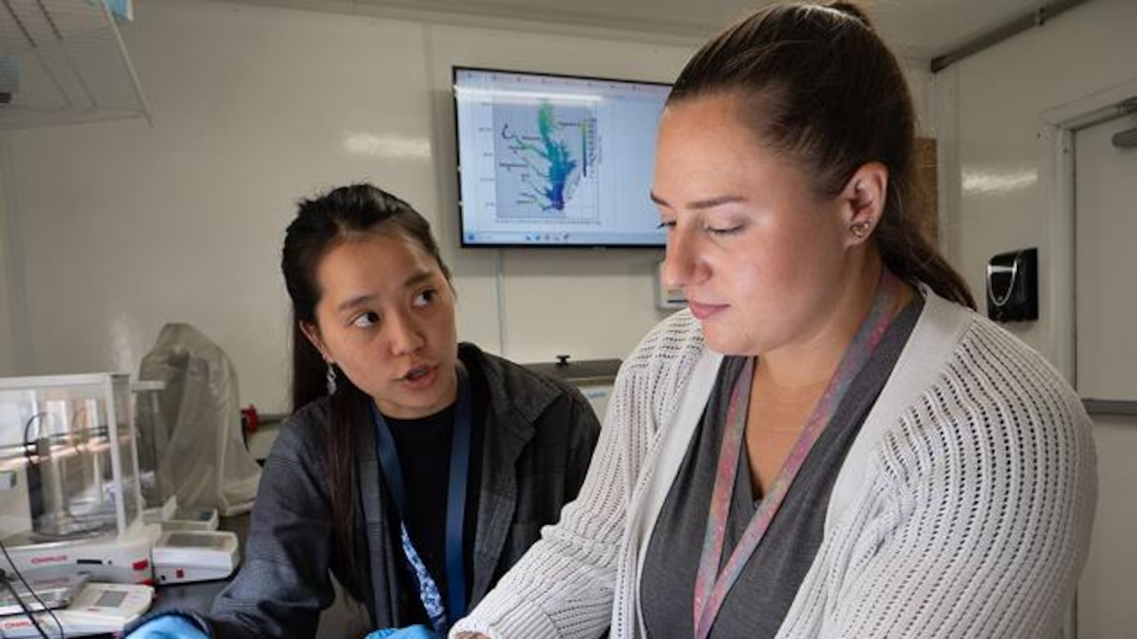 Vibrio on the rise as climate warms the Chesapeake Bay