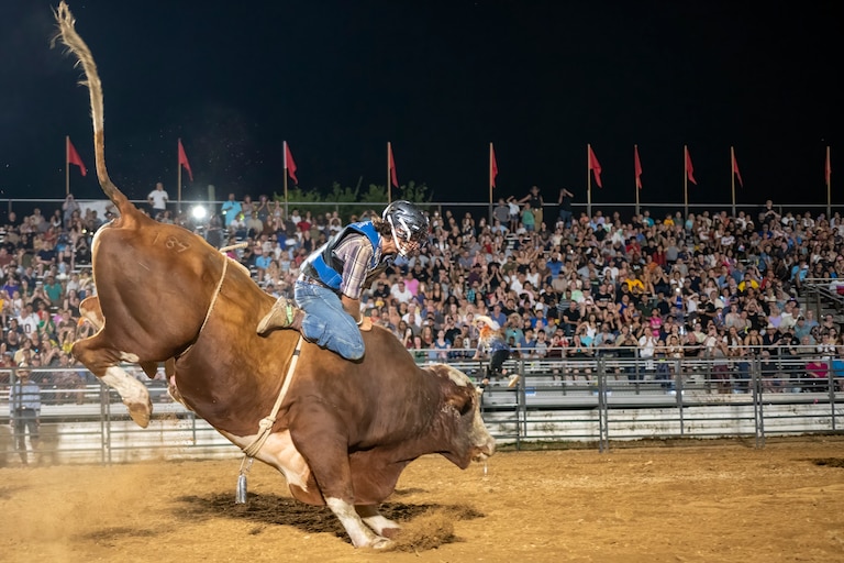 Some animal rights activists have expressed concerns over rodeos that may cause physical or mental harm to the cattle and horses participating. The City of Gaithersburg says guidelines are in place to combat that.