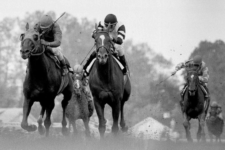 Affirmed, center, with Steve Cauthen in the irons, wins the 103rd running of the Preakness Stakes horse race at Pimlico Race Course in Baltimore, May 20, 1978. Alydar, left, was second.
