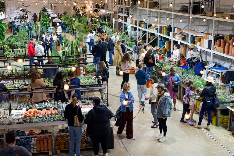 Rewild, a boutique houseplant shop with locations across the Capital Region, will open up its Hyattsville warehouse for Rewild West, a sale showcasing succulents and cacti.