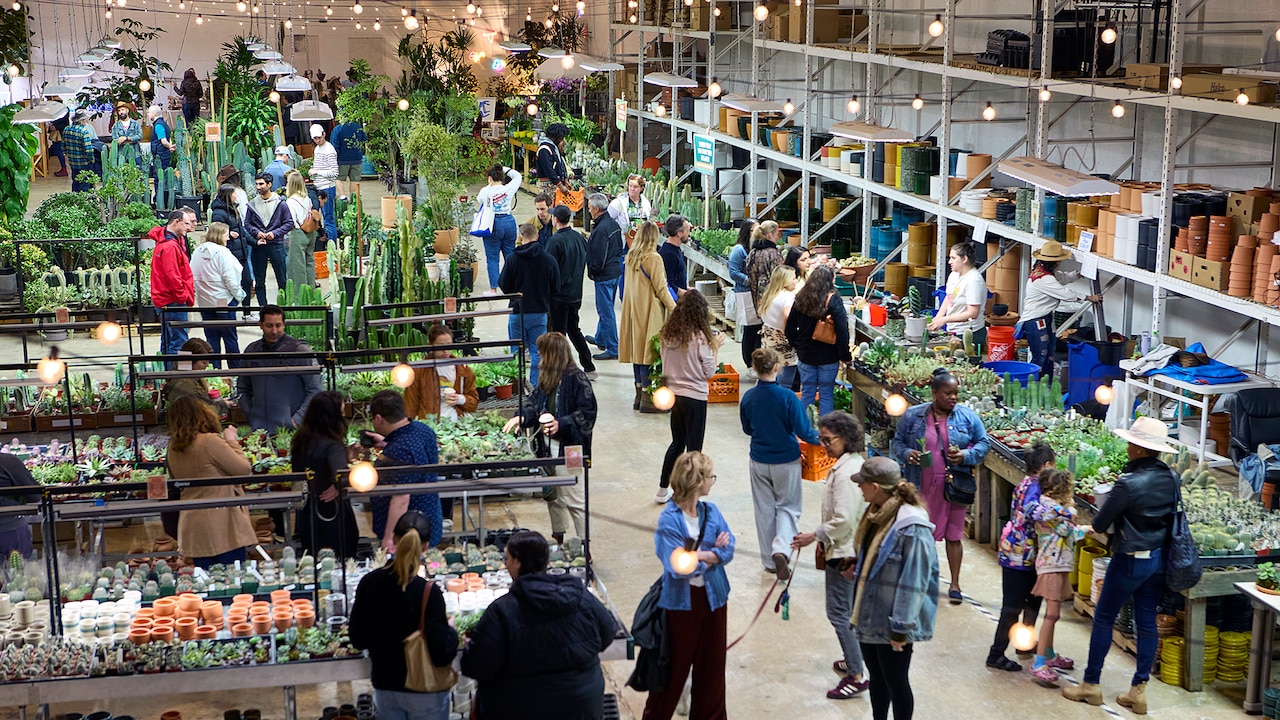 7 things to do in the Capital Region this week, including a plant sale