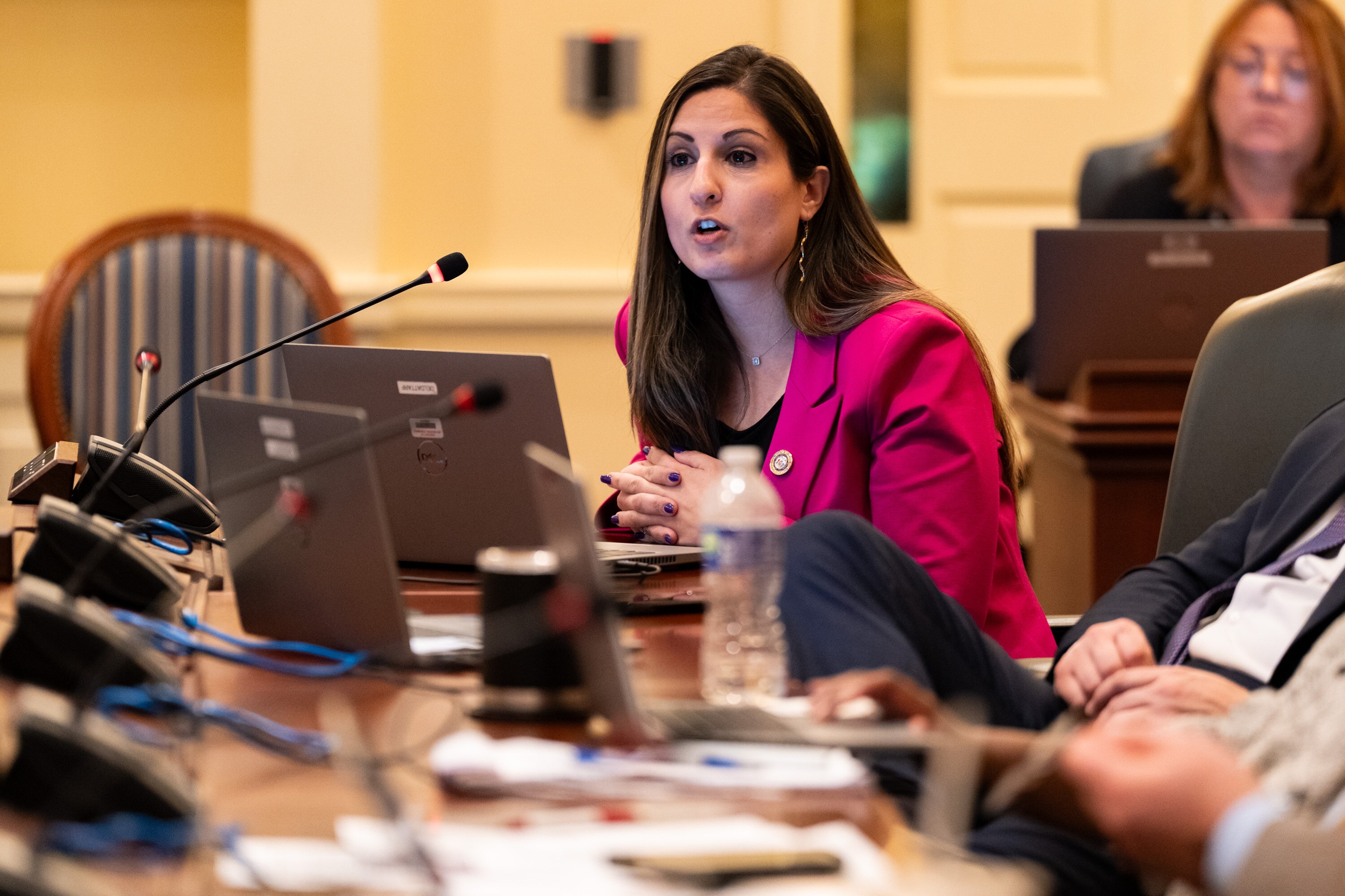 Del. Dalya Attar speaks during a House of Delegates Ways and Means Committee hearing about plans for Pimlico Race Course in Annapolis, Md. on Tuesday, March 19, 2024.