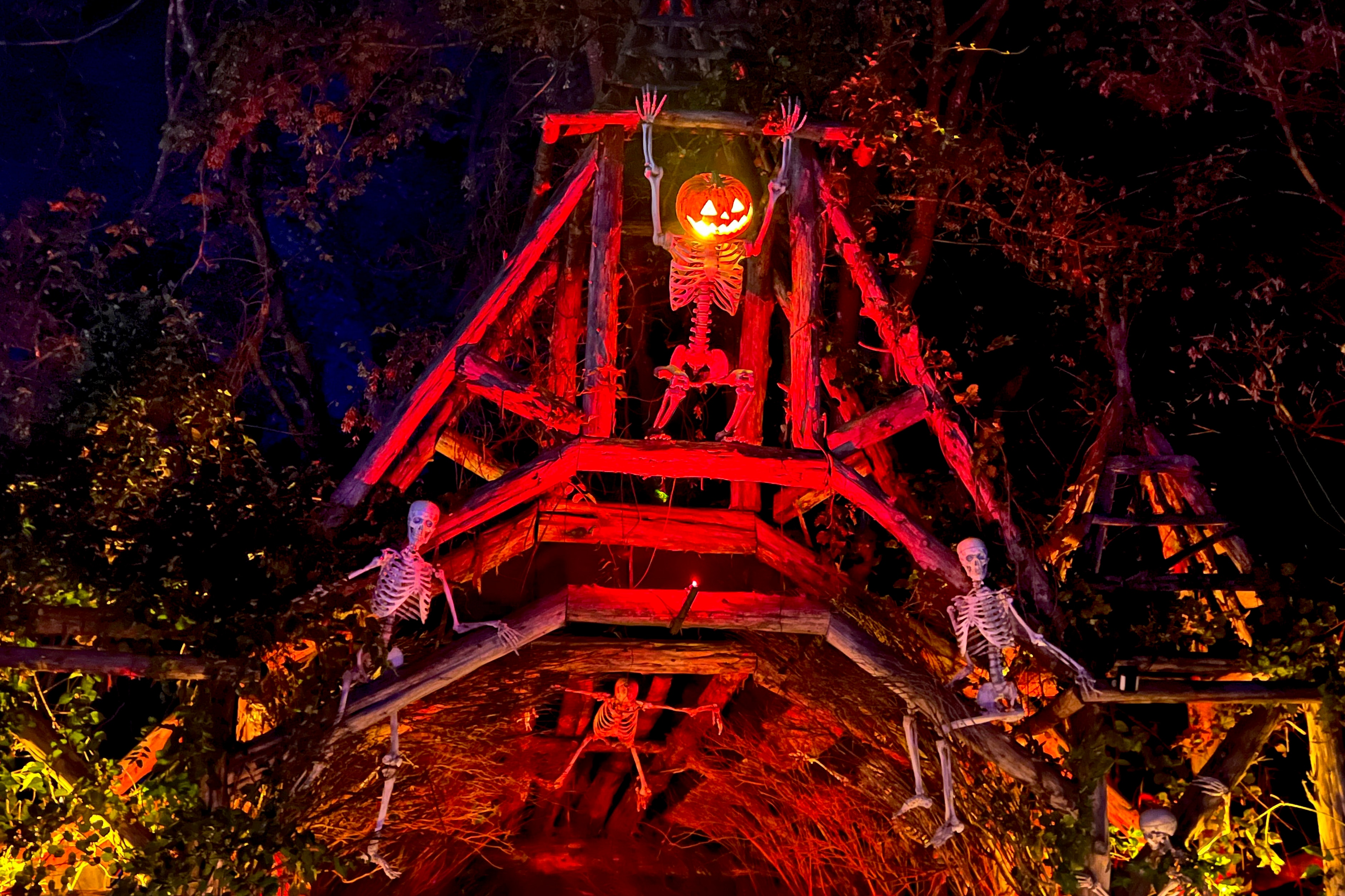 Markoff’s Haunted Forest
