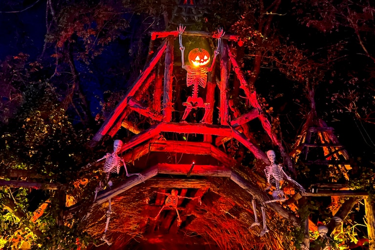 Markoff’s Haunted Forest