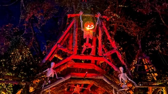 Markoff’s Haunted Forest