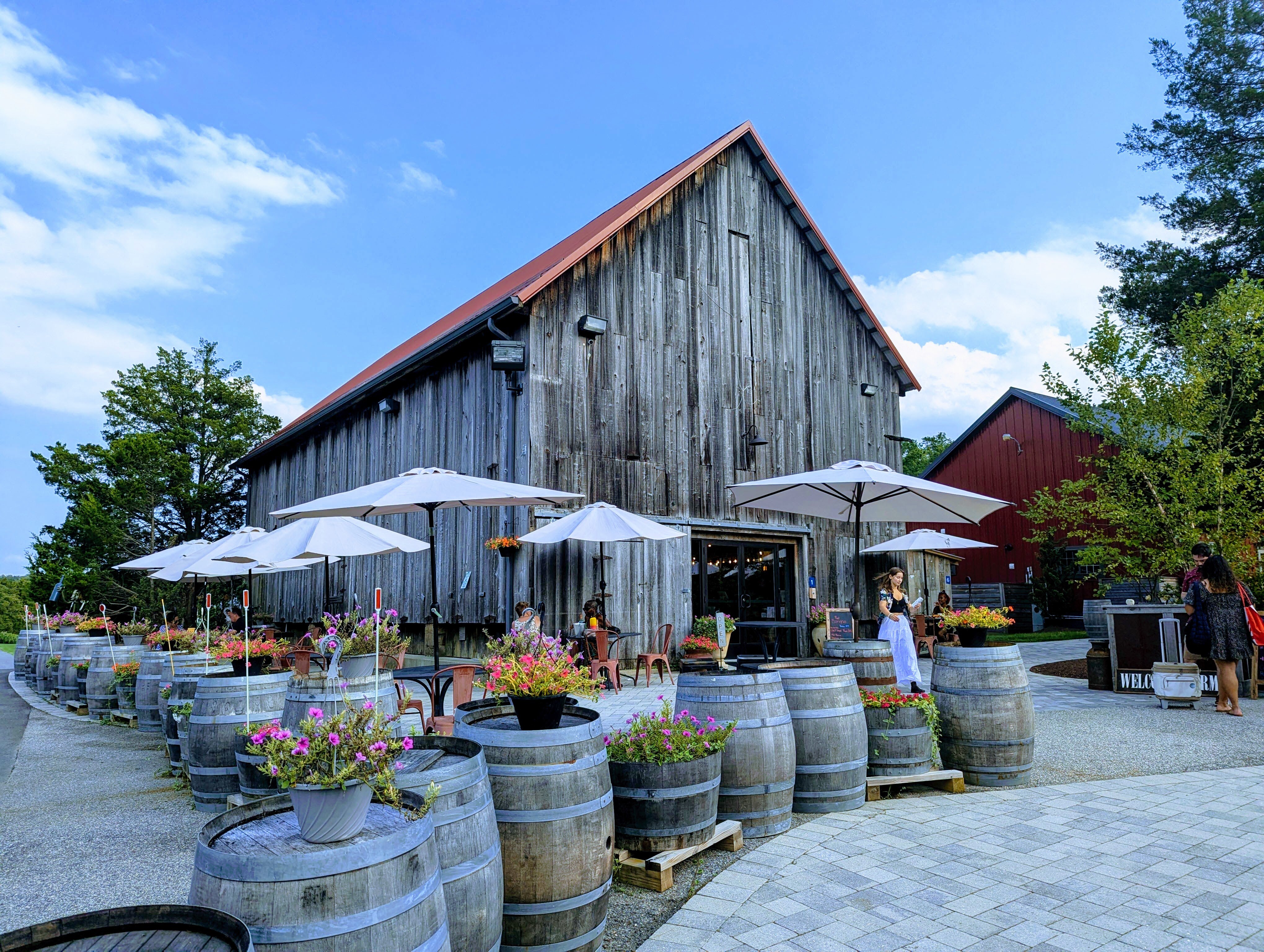 Great Frogs Winery, the only Annapolis winery, is open for tastings Wednesdays through Sundays, with weekend entertainment.
