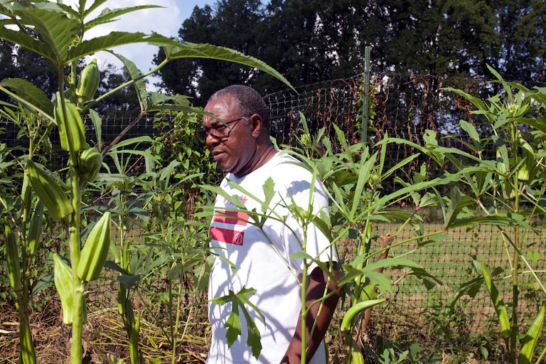 AUGUST 28, 2026 - Charles Choti insisted on growing African staples like terere (amaranth), kunde (cowpea), and managu (African nightshade) on their farms in Montgomery county.