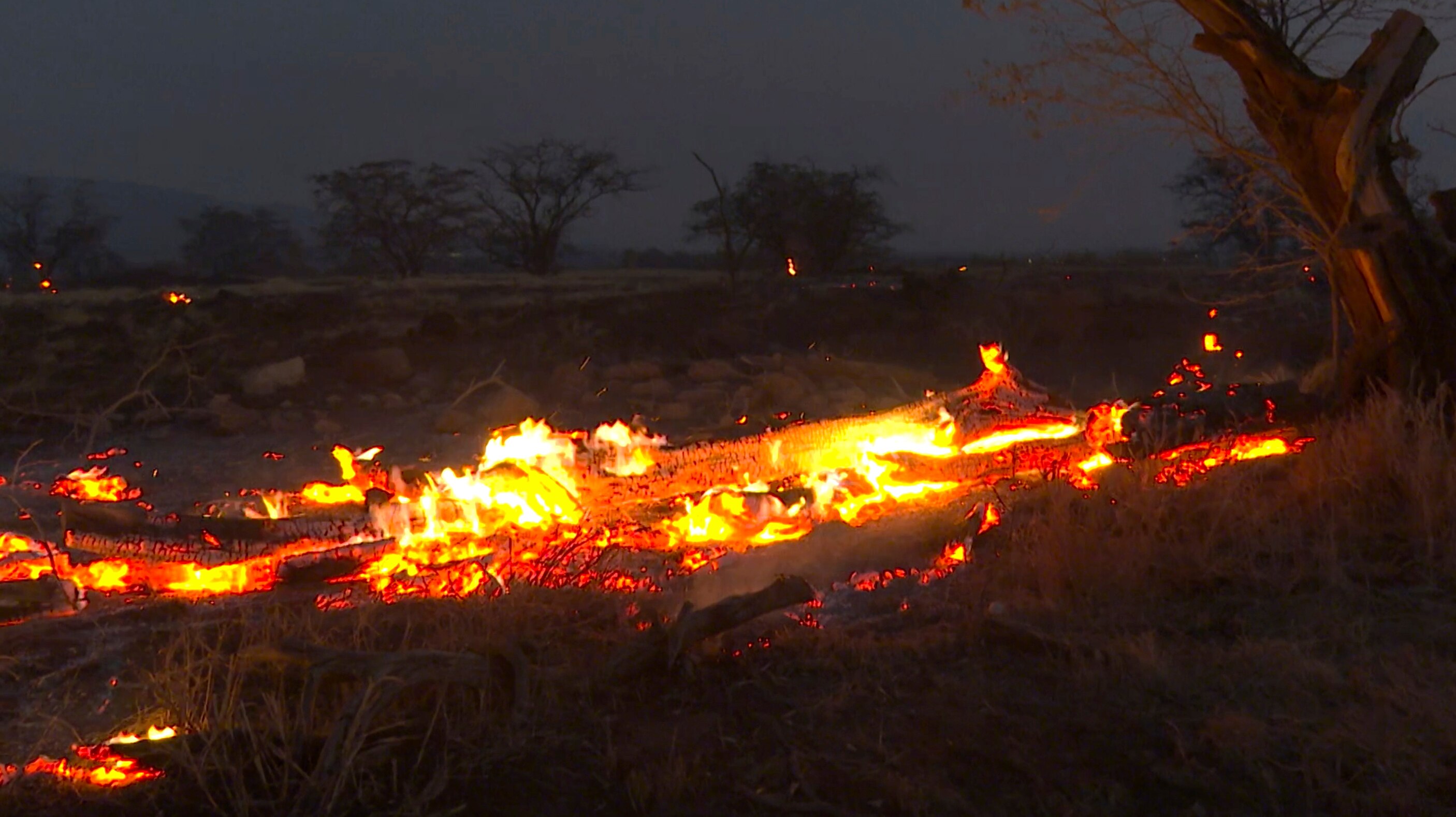 Flames from a wildfire burn in Kihei, Hawaii, on Wednesday.