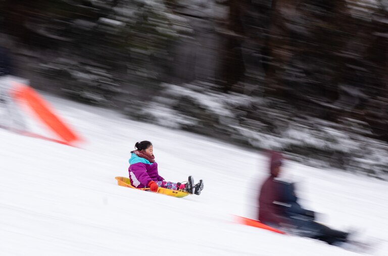 A child sleds down a hill at Lake Elkhorn during a snow day on January 6th, 2025 in Columbia, MD.