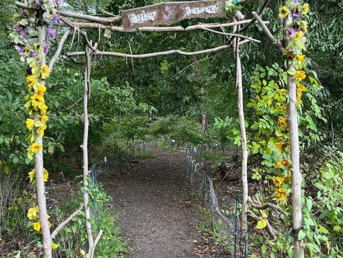 The enchanted fairy forest at Clark’s Elioak Farm.