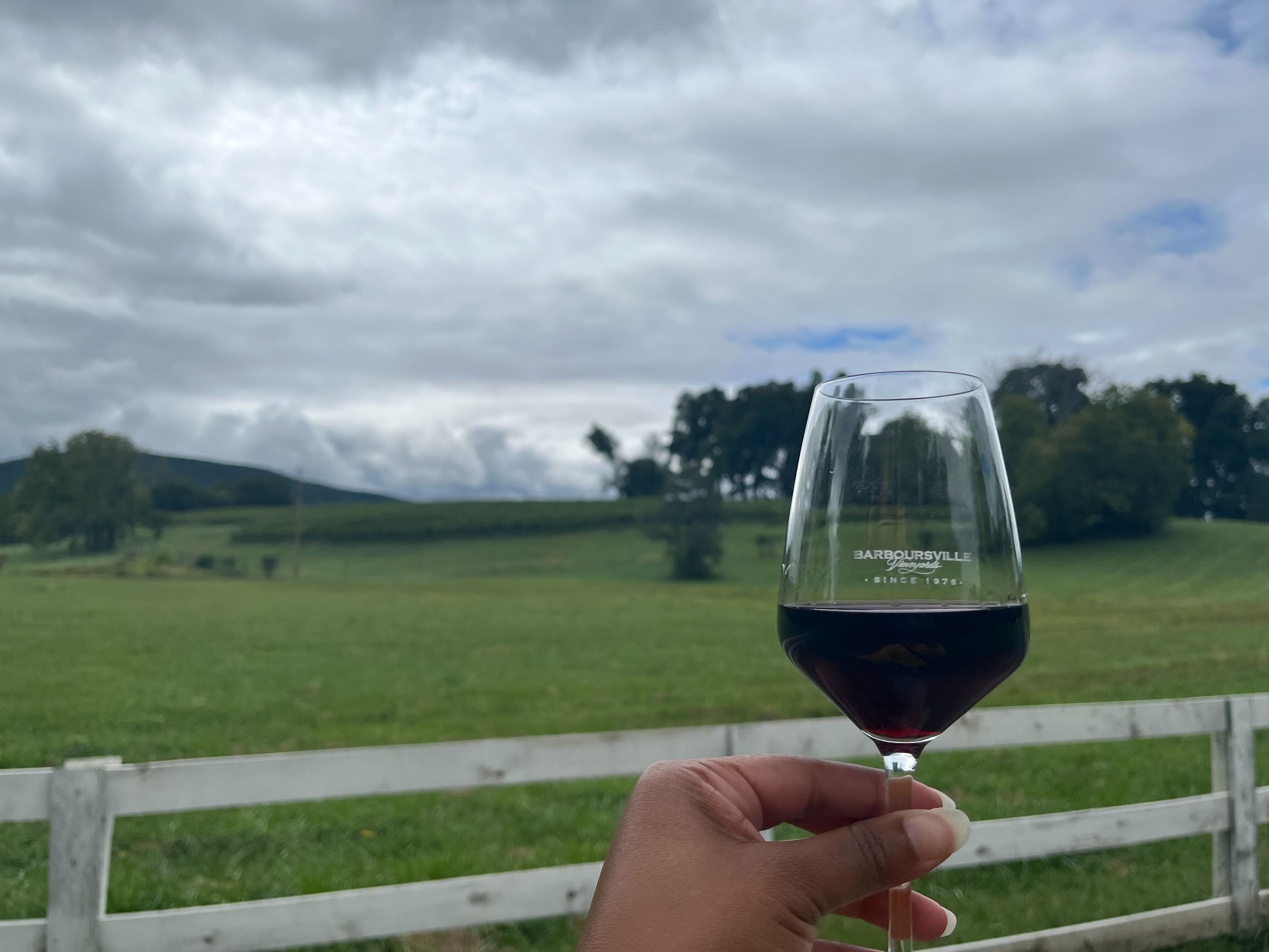 Barboursville Vineyards is on the Monticello Wine Trail in Virginia.