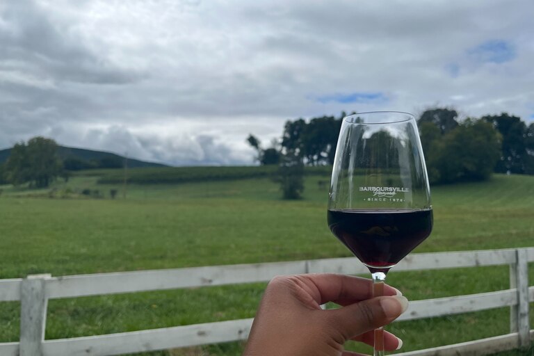 Barboursville Vineyards is on the Monticello Wine Trail in Virginia.