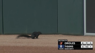 A black squirrel on the field during the bottom of the sixth inning of Monday's Orioles-Tigers game at Comerica Park.