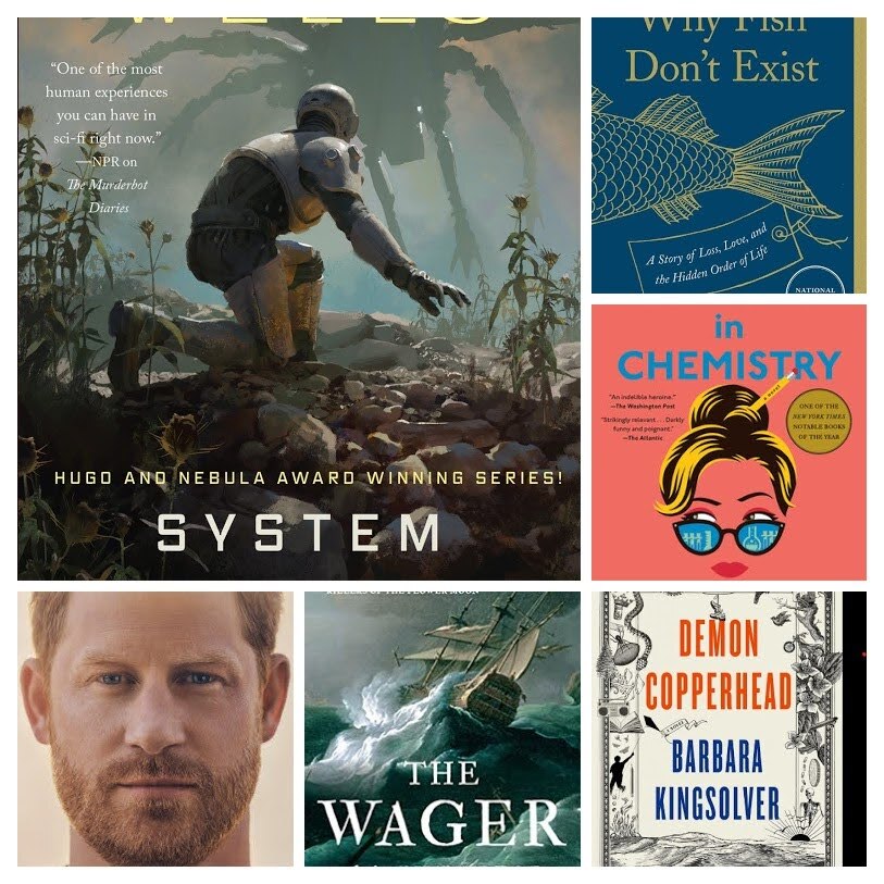 What did you read in 2023? Here's a look at what you, me and others read