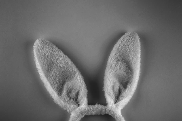 Bunny ears on pink background. Easter minimal concept. Top view, flat lay, copy space.