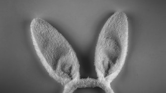 Bunny ears on pink background. Easter minimal concept. Top view, flat lay, copy space.