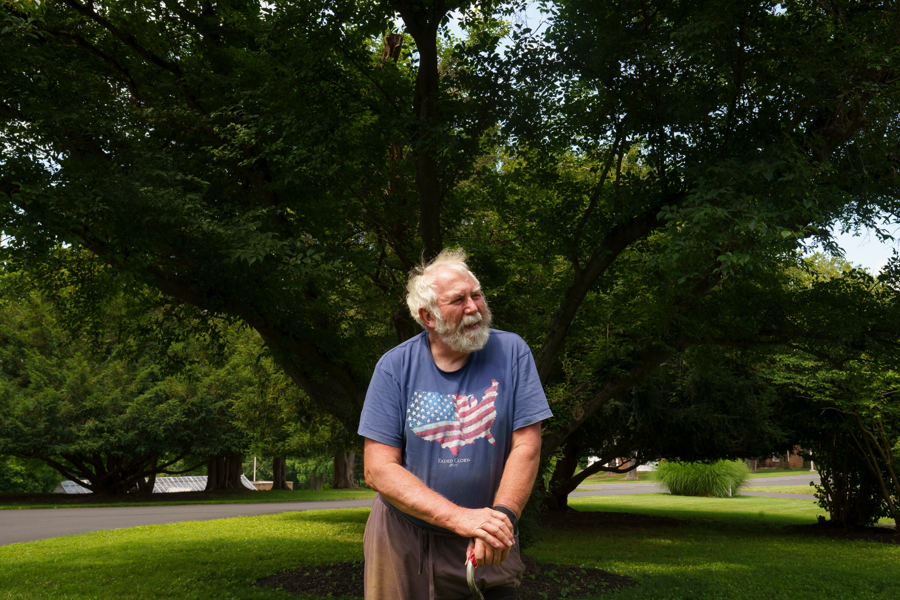John Bennett, chair of the Maryland Big Tree Program, stands with a Japanese snowbell tree in Port Deposit.