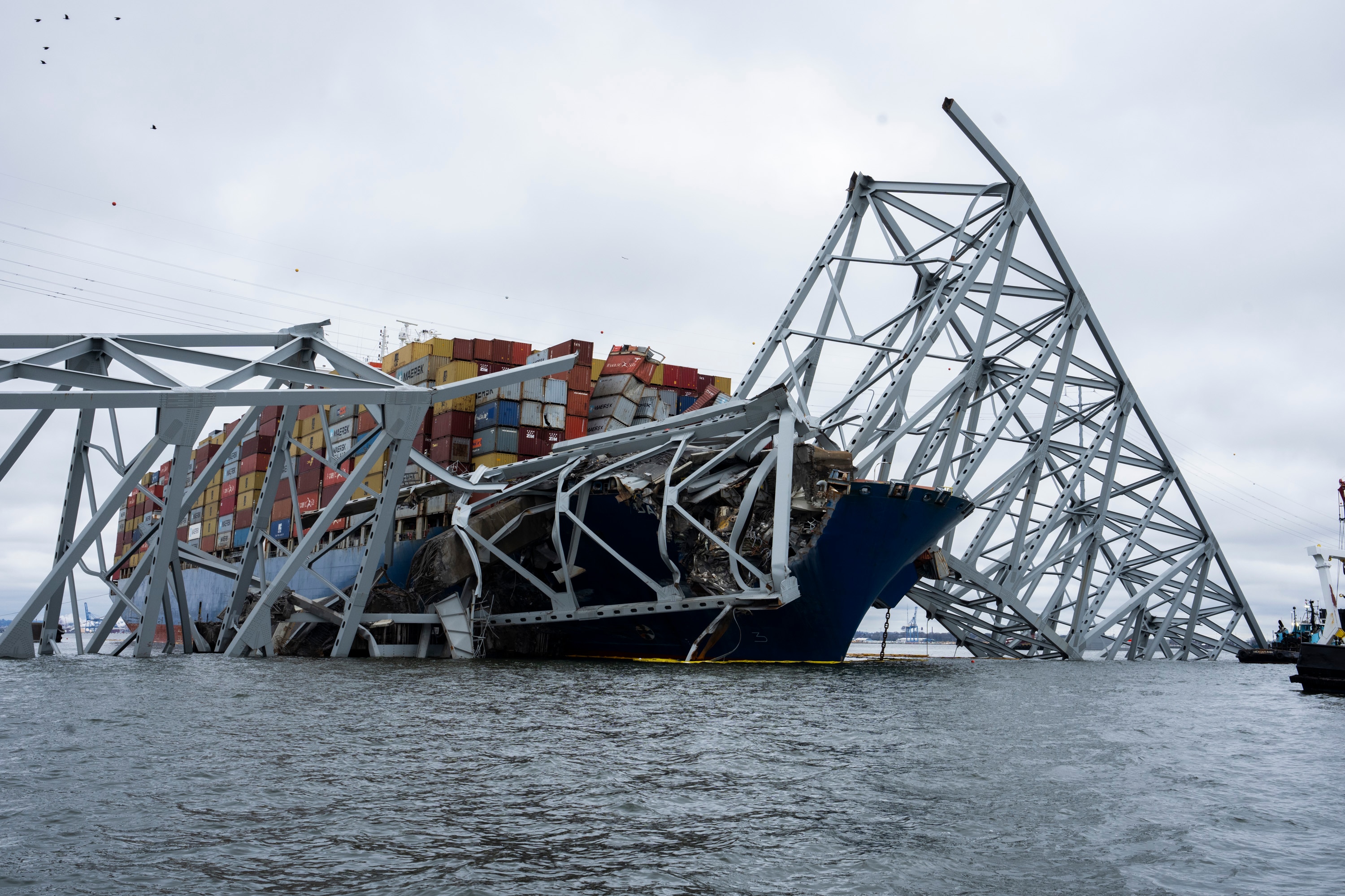 The Dali, a massive container ship from Singapore,  still sits in the wreckage and collapse of the Francis Scott Key Bridge in the Baltimore port on April 1, 2024. It has been a week since it lost power and struck the bridge , causing it to topple in seconds, taking several roadway workers and their cars with it. The once giant frame of the bridge now sits in the water and large cranes have arrived to untangle the mess.