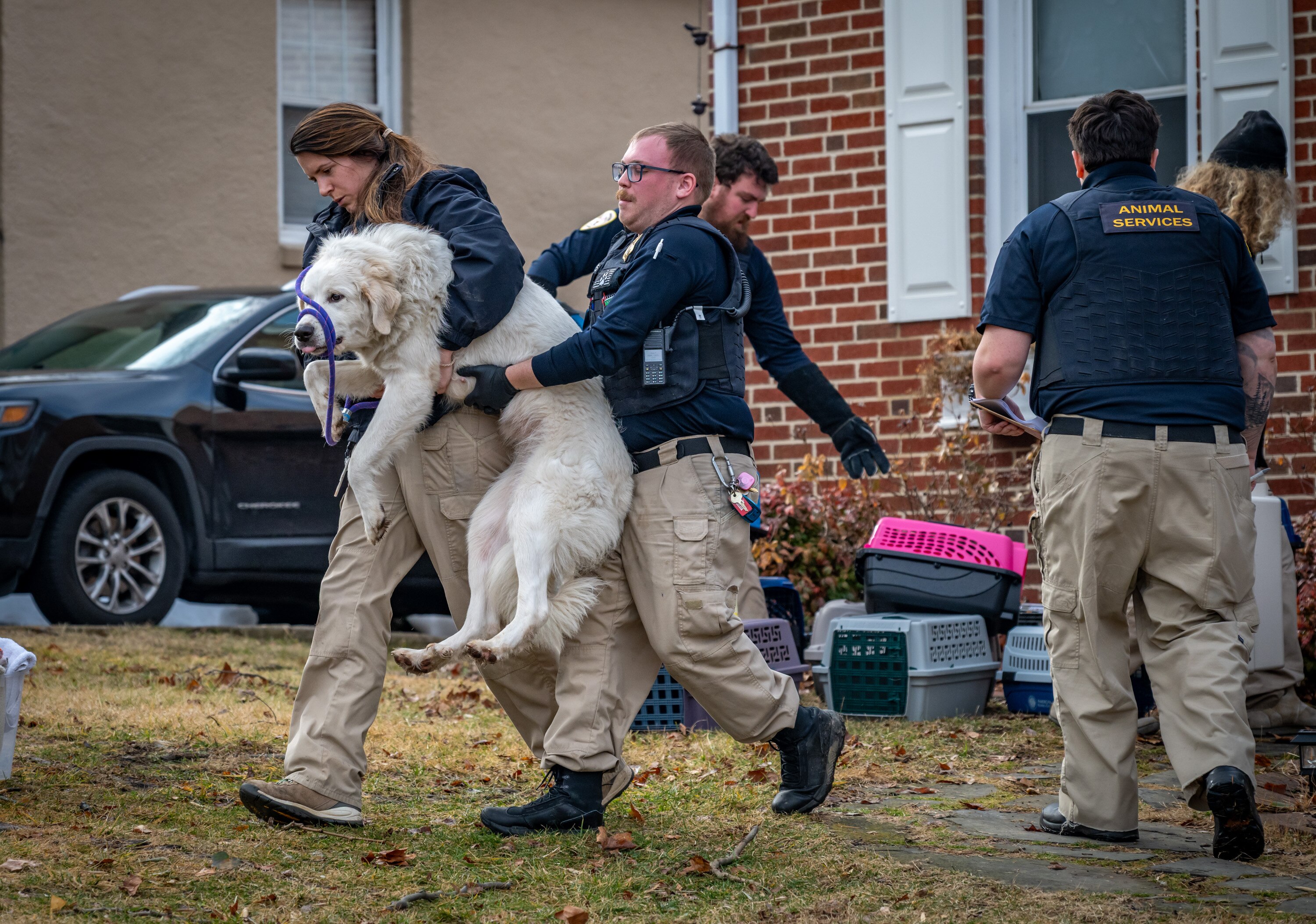 Baltimore County Police and animal control officers raided a Halethorpe home for the third time in a year Wednesday morning. They seized six dogs from a woman who is facing multiple counts of animal cruelty from previous raids. 