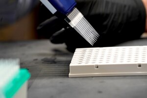 Even though there’s not clarity on the Trump administration’s new policies, some research projects have been put on hold.