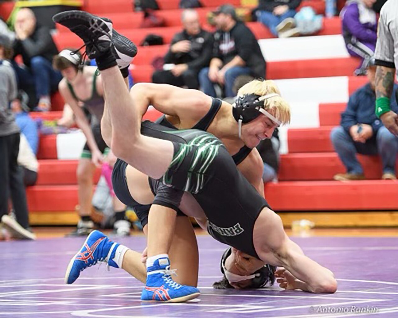 Annapolis senior Nik Antonelli works to turn his opponent before recording one of six falls by the Panthers in their state duals quarterfinal victory on Tuesday.