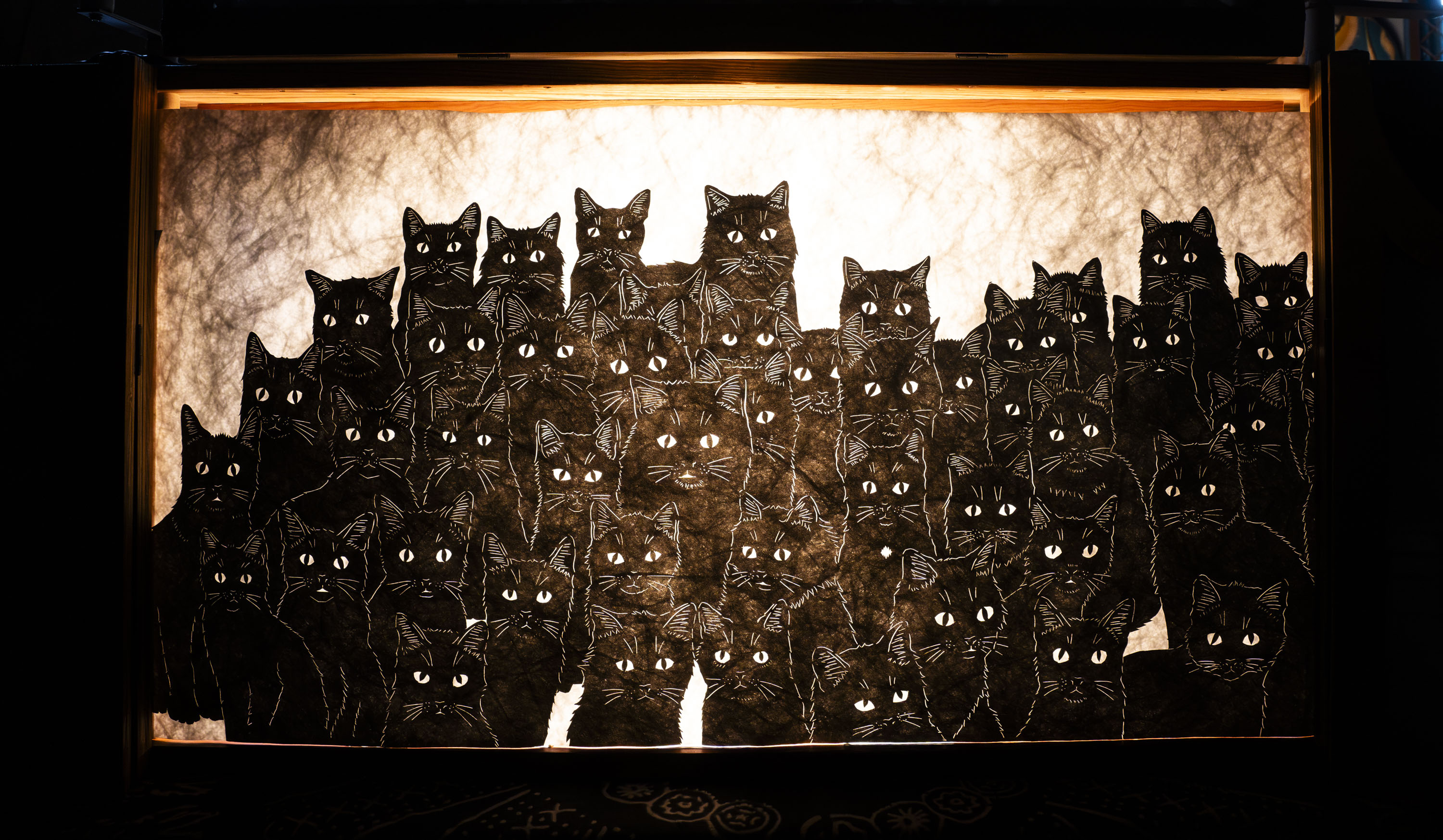 Artist Katherine Fahey became obsessed with a long-ago colony of black cats on Poplar Island, located on the Chesapeake Bay.