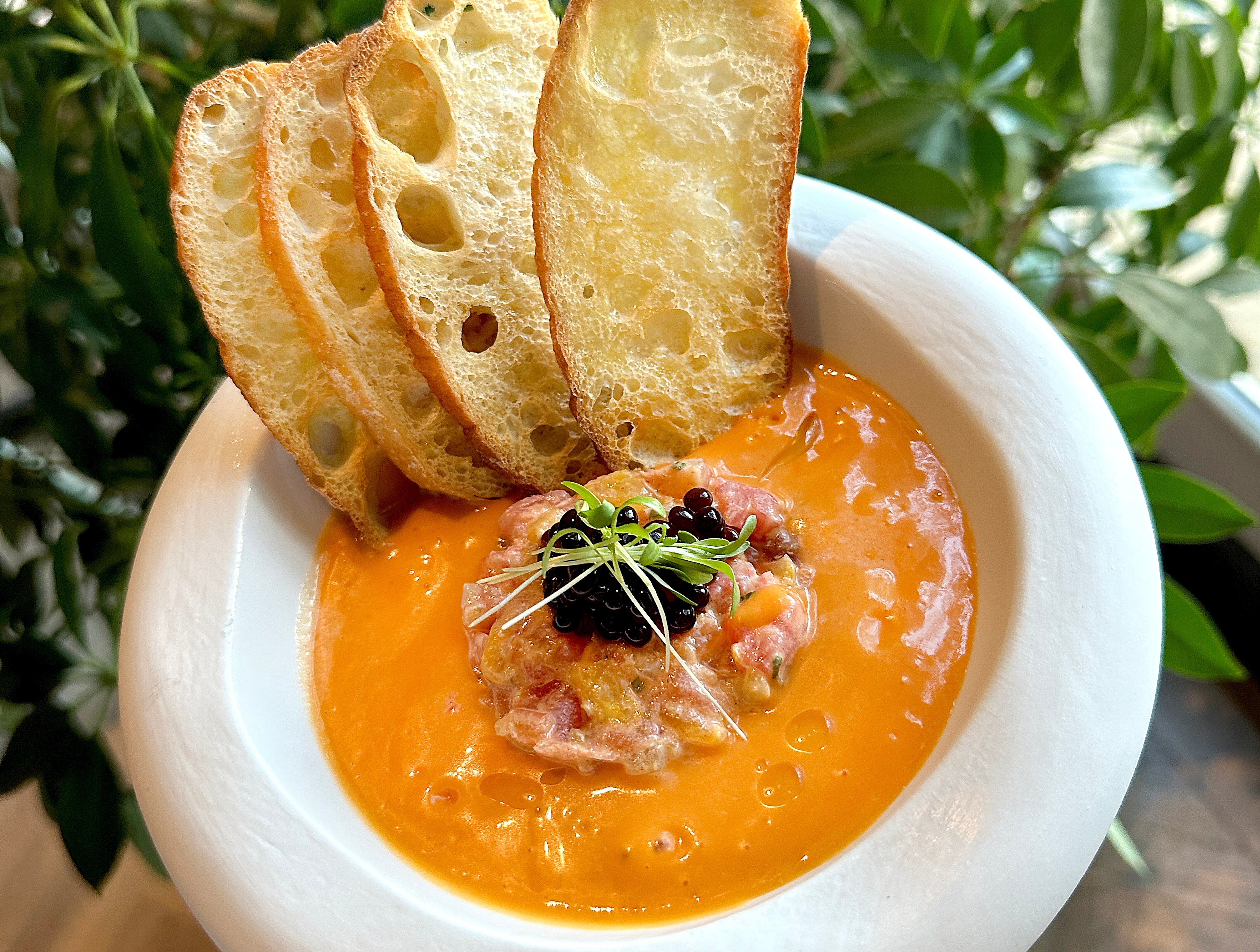 David Zamudio, the former executive chef of Alma Cocina Latina whose food is seen here, was named to the Best Chef: Mid-Atlantic category for the James Beard Award semifinals.