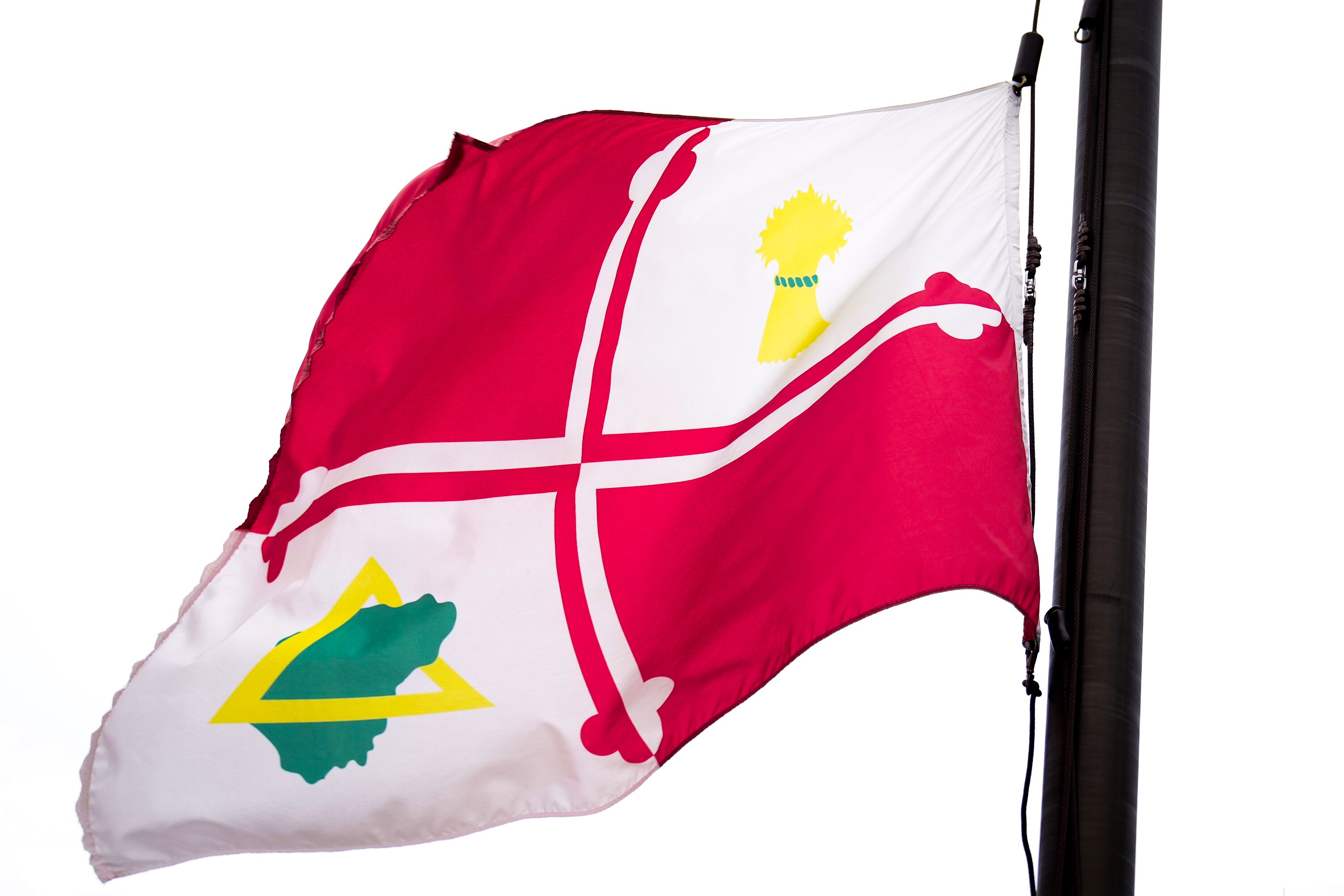 The Howard County flag flies outside of the George Howard Building, the county government’s headquarters, in Ellicott City, on Jan. 30, 2024.