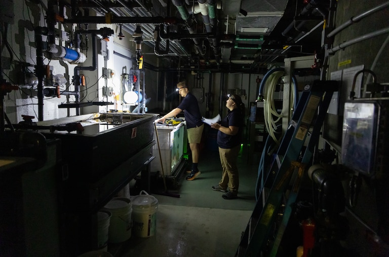Facilities and Animal Care and Welfare response to an electrical failure on Pier 3.