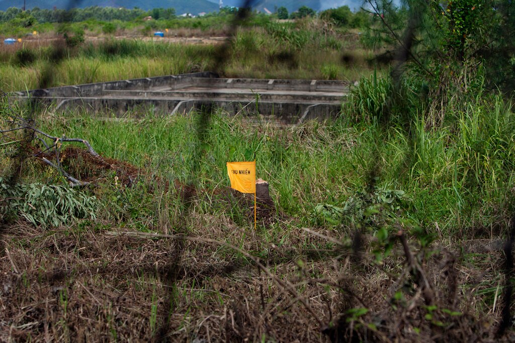 A yellow flag marks a field contaminated with dioxin near Danang airport in Vietnam.