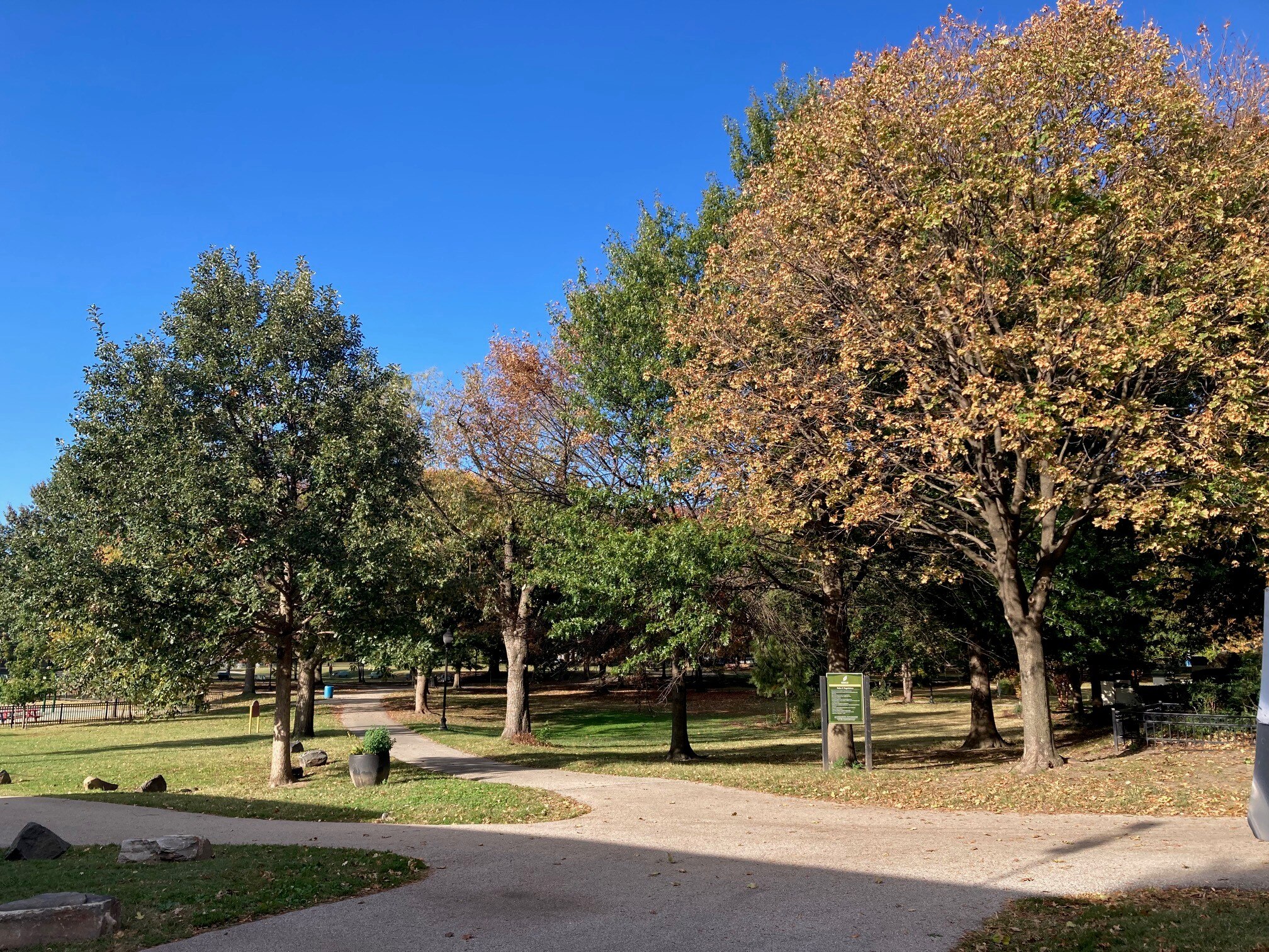 Fall foliage is visible in Latrobe Park in South Baltimore on Thursday, Oct. 23, 2025. The mild weather gave way to brisk temperatures on Friday and Saturday.