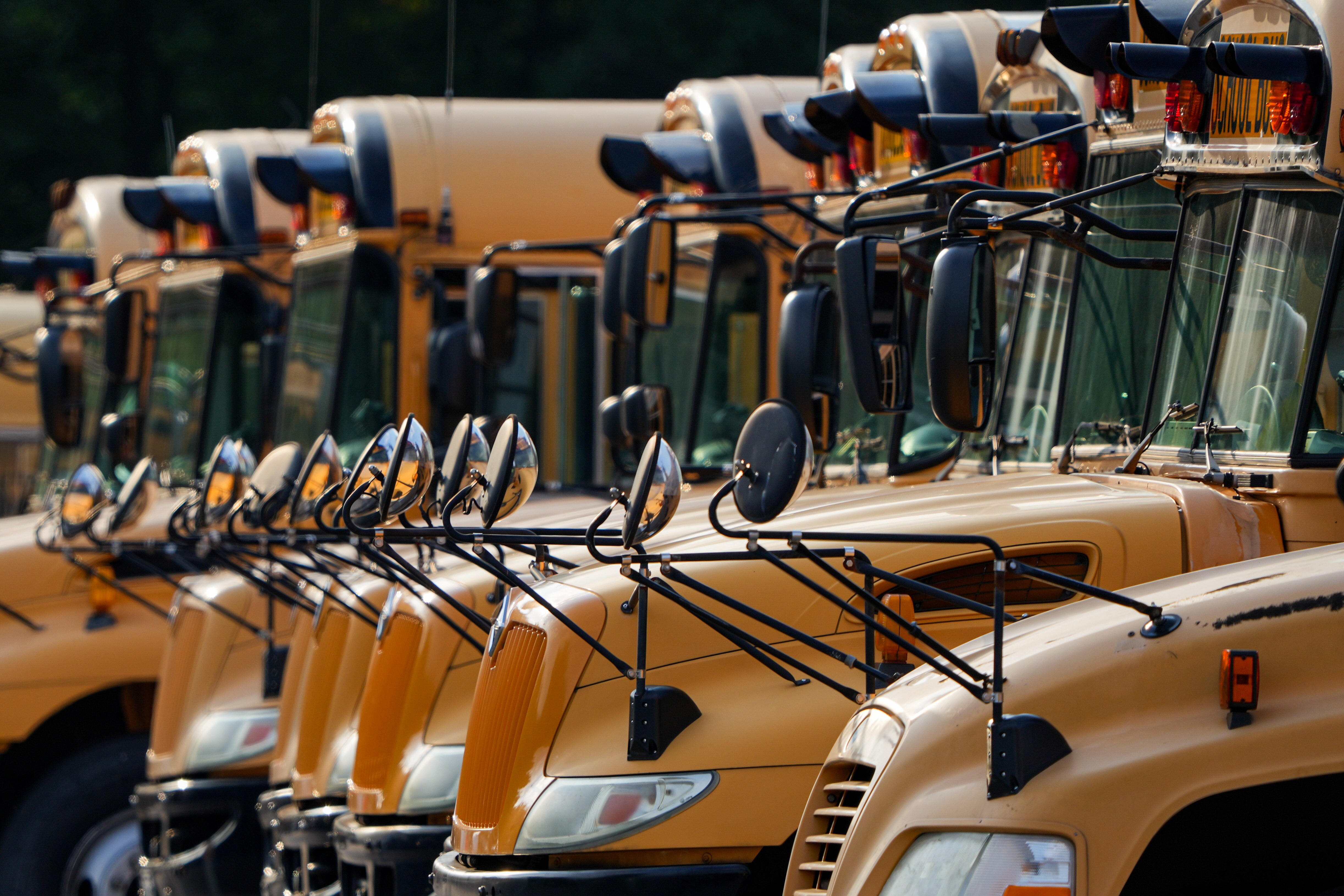 Baltimore City school buses.