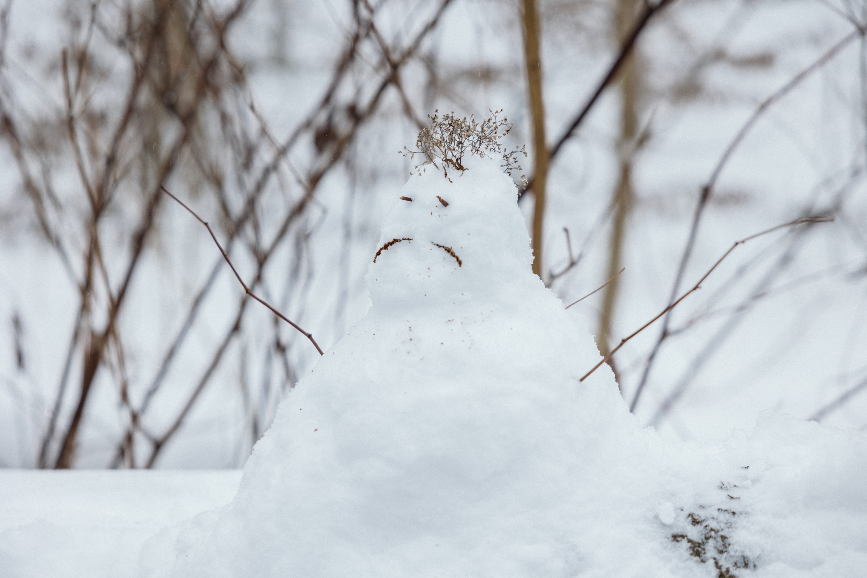 This snowman in Wyman Park gets it.